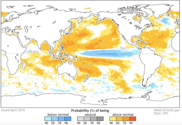 La Nina Bakal Mengancam Pasokan Pangan Dunia?